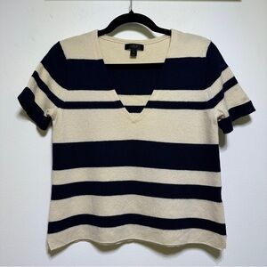 J. Crew V-Neck Sweater in Navy and Cream